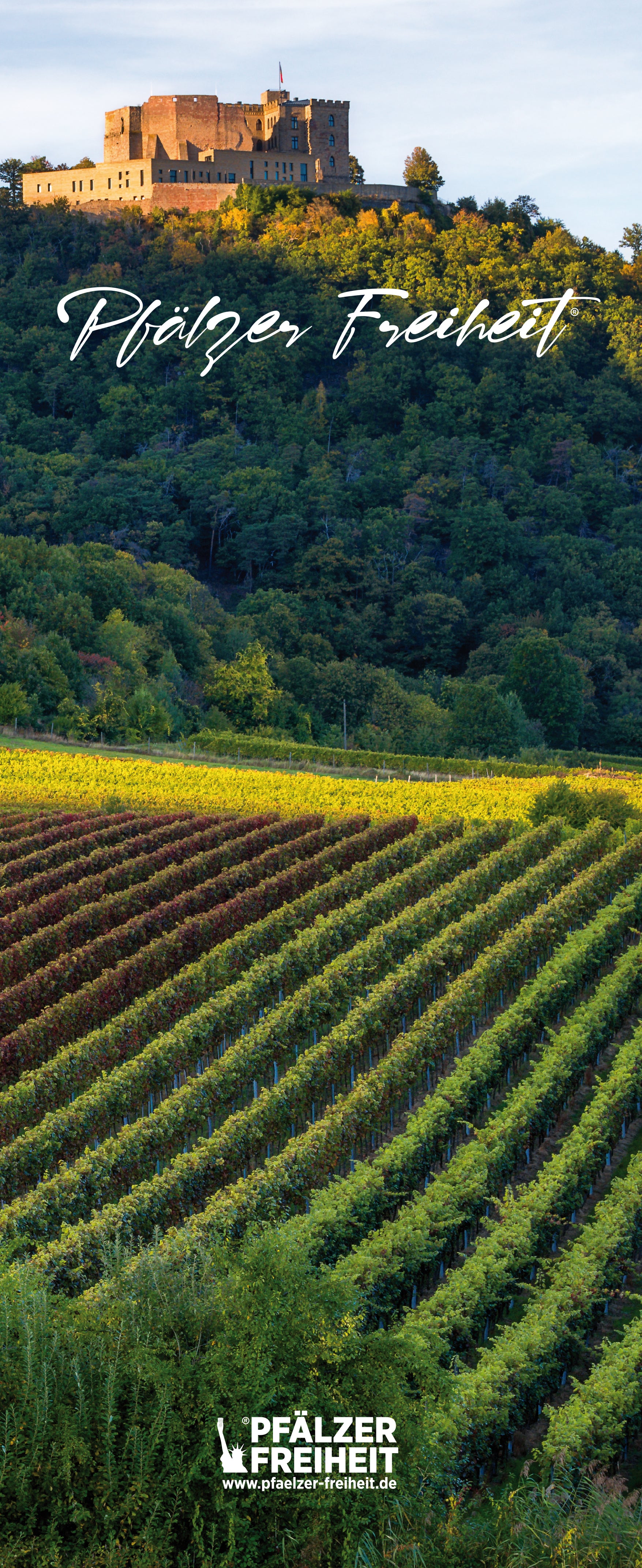 LIEGESTUHL MIT GETRÄNKEHALTER  mit Foto-Motiv(en) - Pfälzer Freiheit